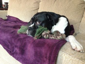 Heather10110 profile photo