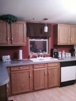 shadowdriver profile photo