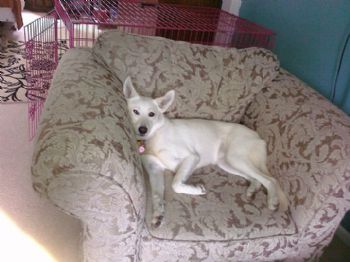 jennbnch profile photo