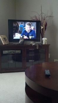 jennbnch profile photo