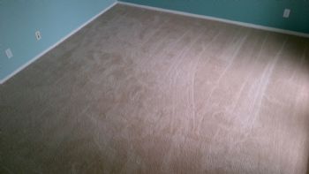 applecc profile photo