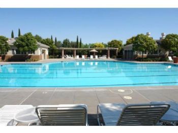 applecc profile photo