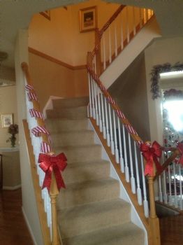 ninasroomate profile photo