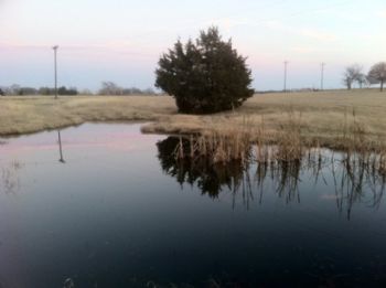 KaveMonkey profile photo