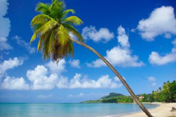 eshuttar profile photo