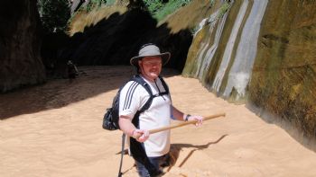 lee1341 profile photo