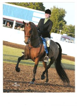 schamberland profile photo