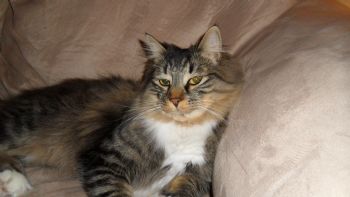 jk57642 profile photo