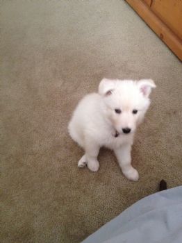 stina2011 profile photo