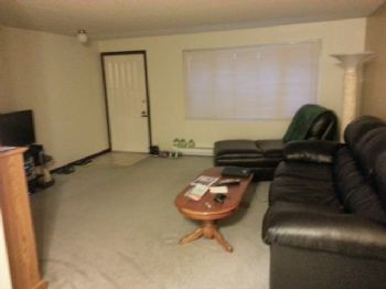 pinkfrogies profile photo