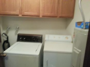 pinkfrogies profile photo