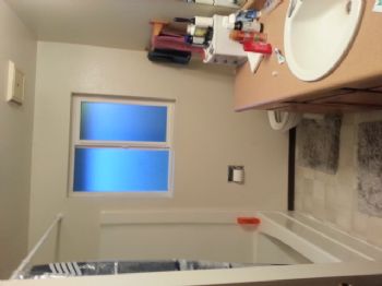 pinkfrogies profile photo