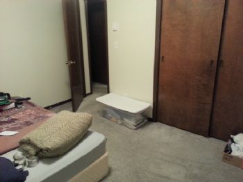 pinkfrogies profile photo