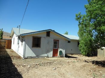 nocatshere profile photo