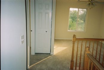 purpleroller profile photo