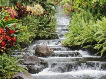 Deborah1965 profile photo