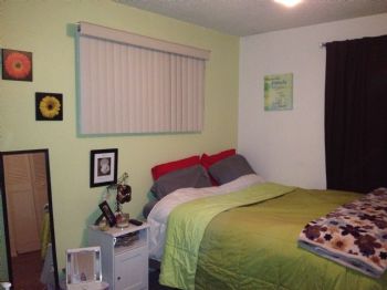 bruzek profile photo