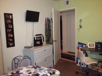 bruzek profile photo