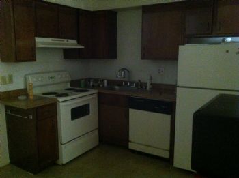 elope13 profile photo