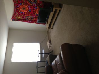 elope13 profile photo