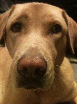 ashton12 profile photo