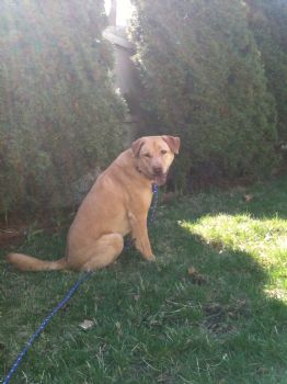 ashton12 profile photo