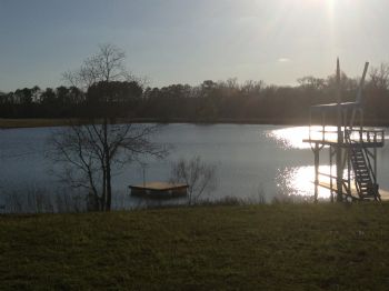 B_S2010 profile photo