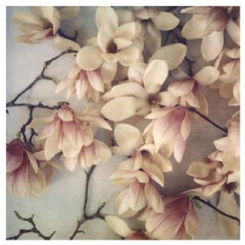 Mari81 profile photo