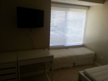 Shielojello profile photo