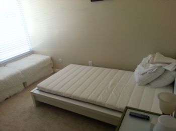 Shielojello profile photo