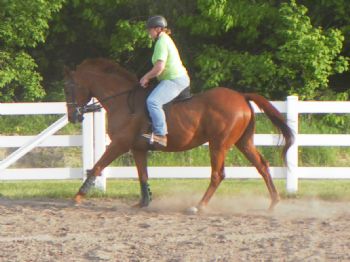 koda6508 profile photo