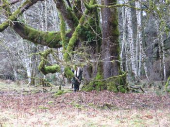 vernaparker profile photo