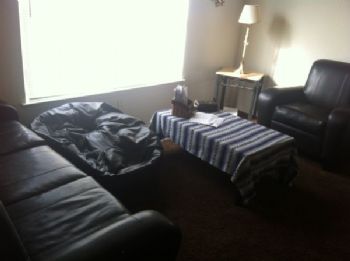 cbaez208 profile photo