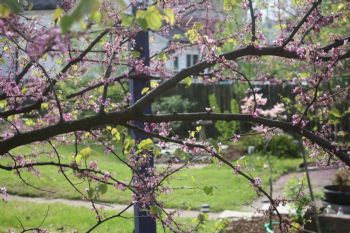 happy@home profile photo