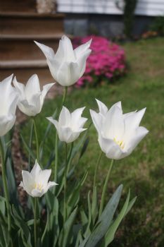 happy@home profile photo