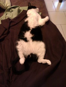 Noiram profile photo