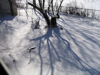 ahoyden profile photo