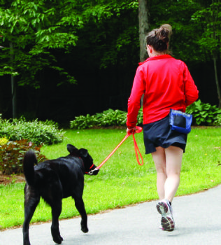 trytri2012 profile photo