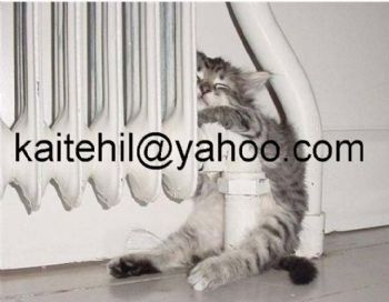 Kathyh7603 profile photo