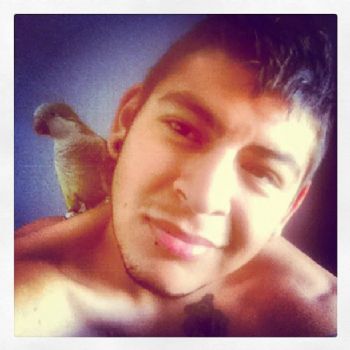 greengiant6 profile photo