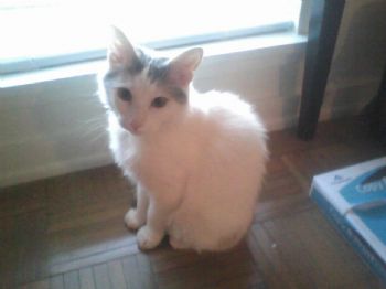 becchristman profile photo