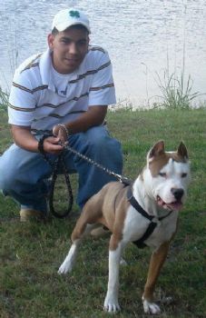 aortiz3 profile photo