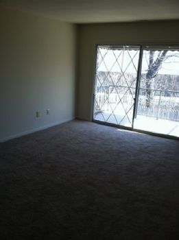 MDowney1994 profile photo