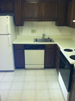 MDowney1994 profile photo