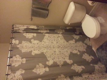 daviddvs profile photo