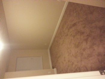 daviddvs profile photo