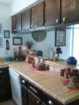 Ms. Tib profile photo