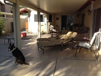 legrandev profile photo