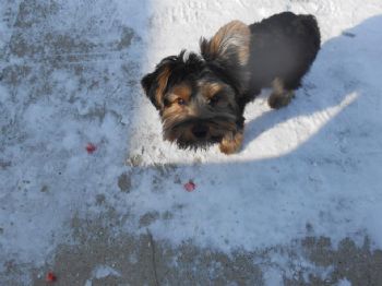 tessey10 profile photo