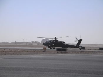 dockalg profile photo